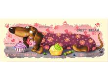 ������� (����� ����).jpg