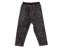 SN144112 �������� 282�.