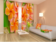 01149 ��������.jpg