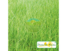 ����� Windsor ��������� ������������ ������ (30 ��).jpg