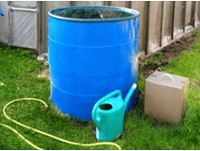 �����  ���������