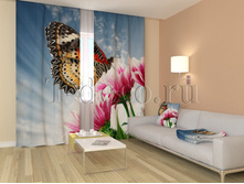 01226 �������.jpg