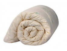 ������ ���*�����.jpg