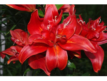 ����� ������ 5�� 300�.jpg