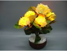 001 PYH YL (��������� 45 ��).JPG