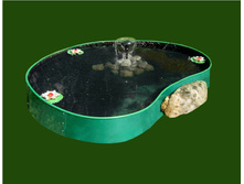 ���� �������