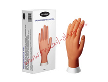 0681 ������������� ����