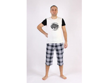 ����� ������� �����������  ����: 393 �����