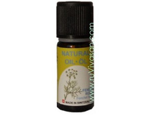 ������� ����� ������� ������� 10 �� ���� 530 ���