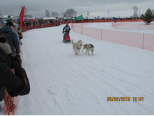 ���� 385.jpg