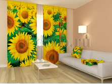 01142 ����������.jpg