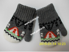 DSCN9525 (����������).jpg