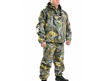 p_mosk_les 1 (1).jpg