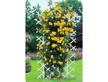 ������� ������� 190�110�� � ������� - ��������-680.jpg