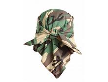 kosinka_zel_kmf 1.jpg