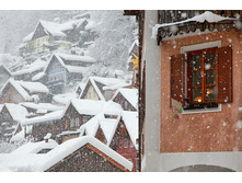 ����� ������������ ����.jpg