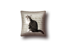 ������ �����.jpg