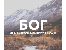 Bog.jpg