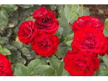 ��� 2014 024.jpg