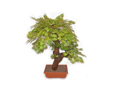 �� 50/2�/06/(�) - 3001