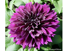 �������� ����� ������ 90�