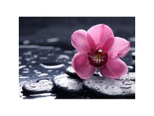 ������� ����� 38*27 Ag5848 - 846 ���.