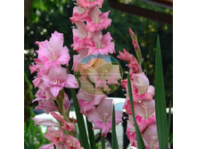 ��������� ���� 10.jpg