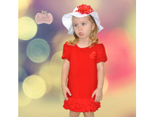 ������ LK0254 ������ �� ��������� 329,00 ����� ����  250,00