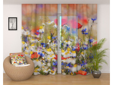 02035 ������� �����.jpg