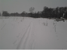 2015-02-07 12.30.49.jpg