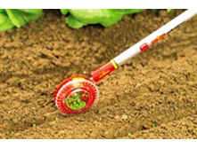 ������ �������1.jpg