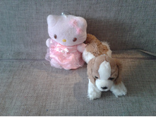 2015-02-25 13.18.03.jpg