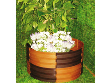 ������ ������� ������