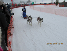 ���� 393.jpg