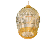 ������ ��� ���� KL-12100 - 2 387 ���.