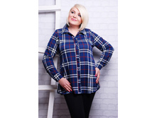 ����� CI ���� �����+�����