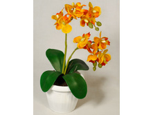 �� 22*2/33 - 220