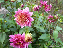 �������� ����� 101,4�