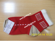 DSCN9972 (����������).jpg