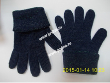 DSCN9793 (����������).jpg