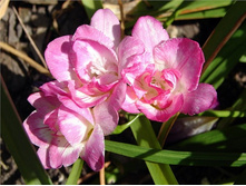 ������  �������� ������� 10�� 74,4�.jpg