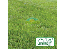 ����� Windsor ��������� ������������ ����� ���� (30 ��).jpg