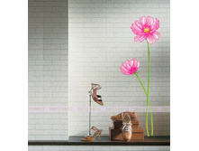 �������, ���.LD851