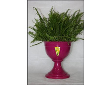 ������ ��������� ����� �� ����� ., ���������.jpg