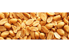 ������ �������� ��̣���