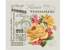 ����� ����.jpg