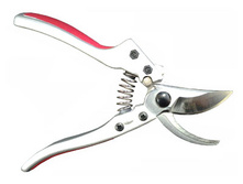 ������� "������"  425�