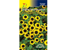 ���������� ���������� ���������� ��������. 7 ���. �������� 3 ��..jpg