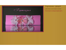 ���������  350���.JPG