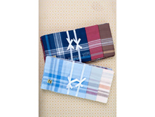 ������ ������� ������� b 12 ���� 250�.jpg